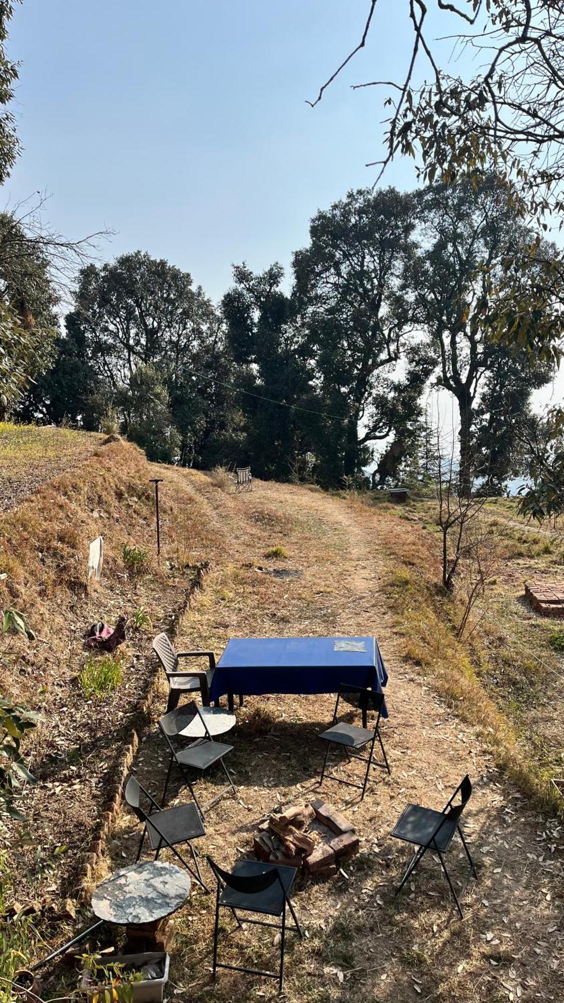 Naddi Castle Daire McLeod Ganj Dış mekan fotoğraf